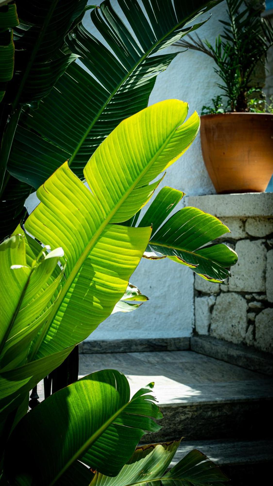 Pom Alacati Boutique Otel Cesme Exterior photo